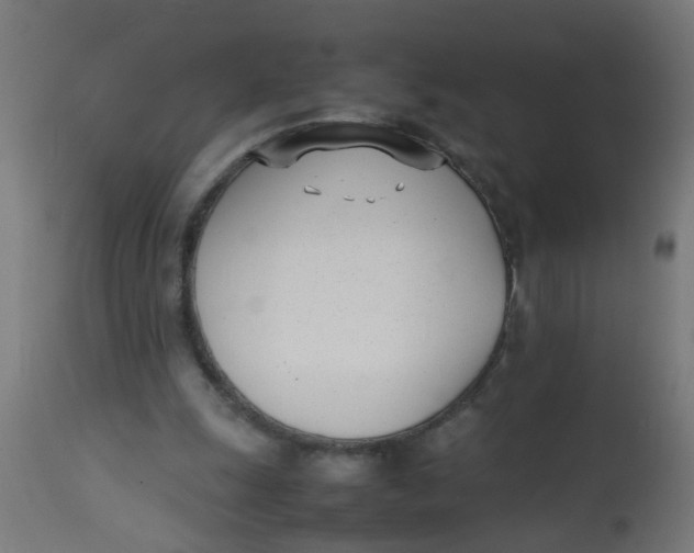 X0000113210247200910081324