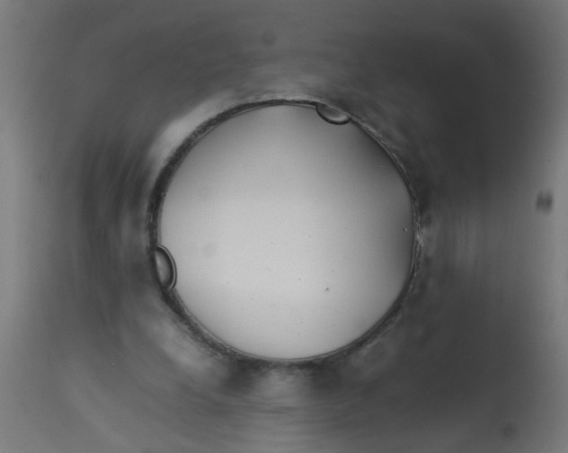 X0000113210248200910081324