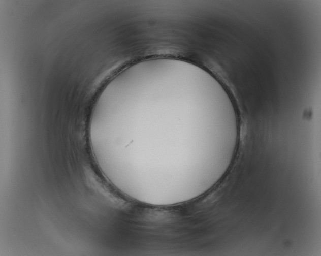 X0000113210249200910081324