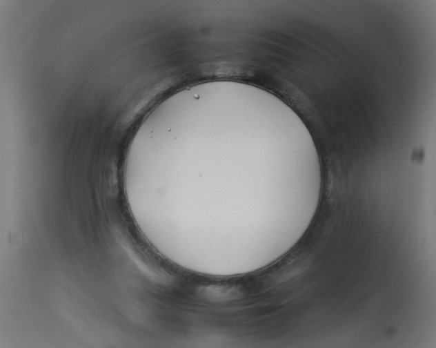 X0000113210251200910081324