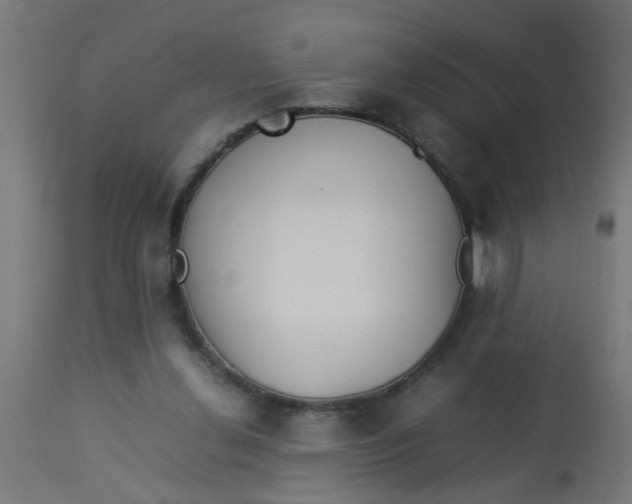 X0000113210252200910081324