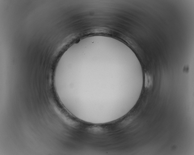 X0000113210253200910081324