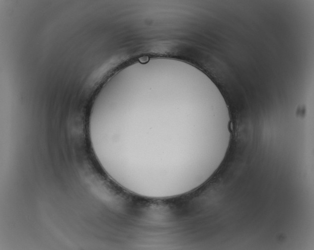 X0000113210256200910081324