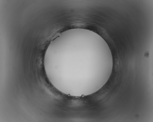 X0000113210259200910081324