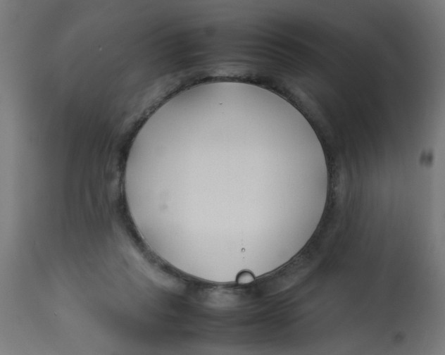 X0000113210261200910081324