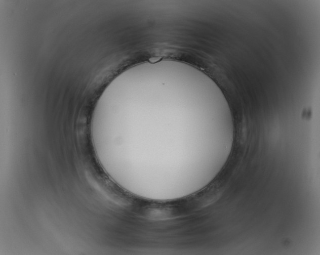 X0000113210263200910081324