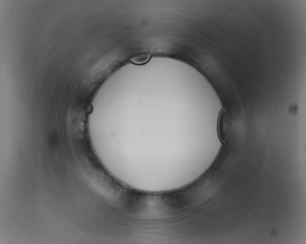 X0000113210264200910081324