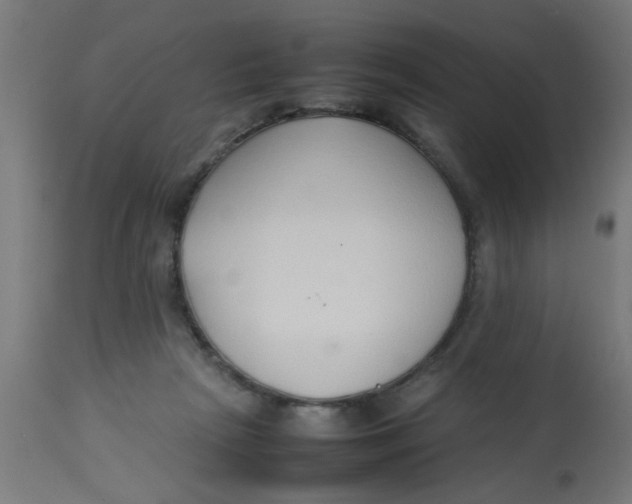 X0000113210265200910081324