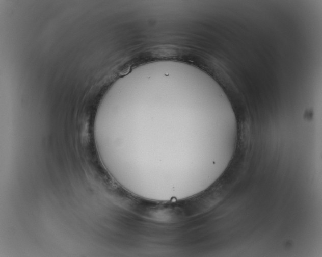 X0000113210267200910081324