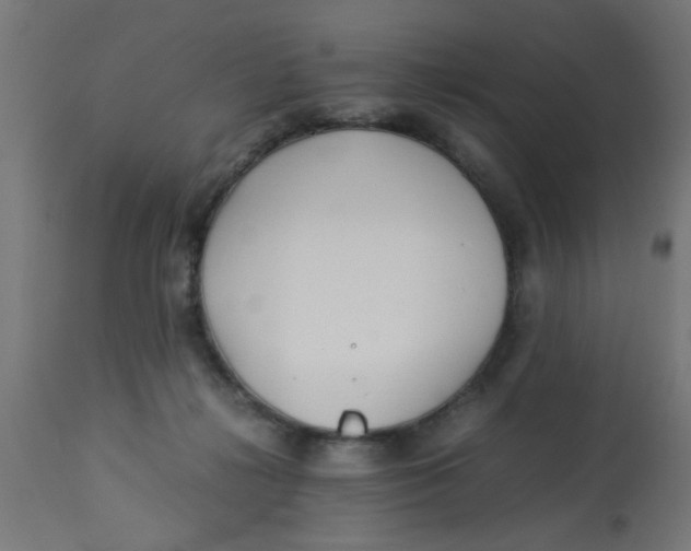 X0000113210268200910081324