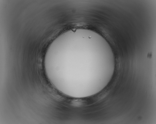 X0000113210269200910081324