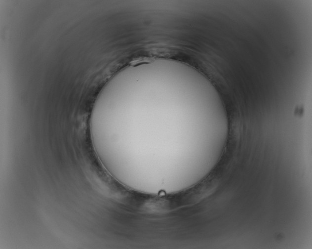 X0000113210271200910081324