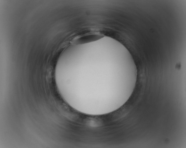 X0000113210275200910081324