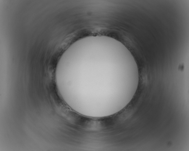 X0000113210276200910081324