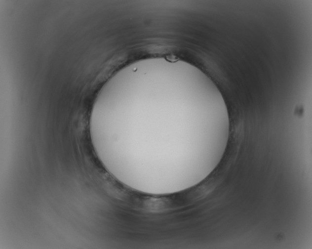 X0000113210277200910081324