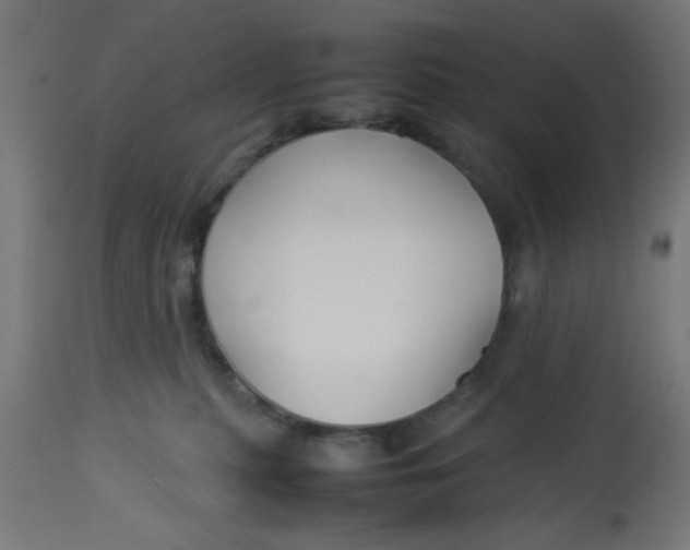 X0000113210279200910081324