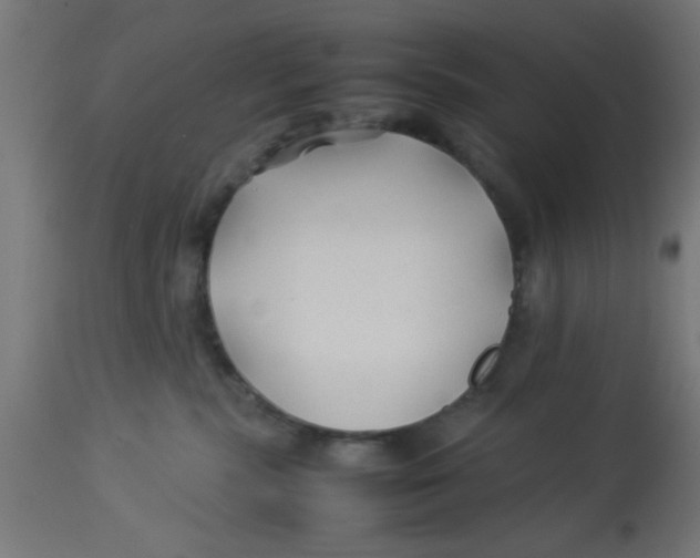 X0000113210283200910081325