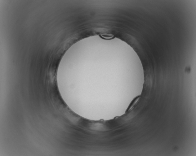 X0000113210285200910081325