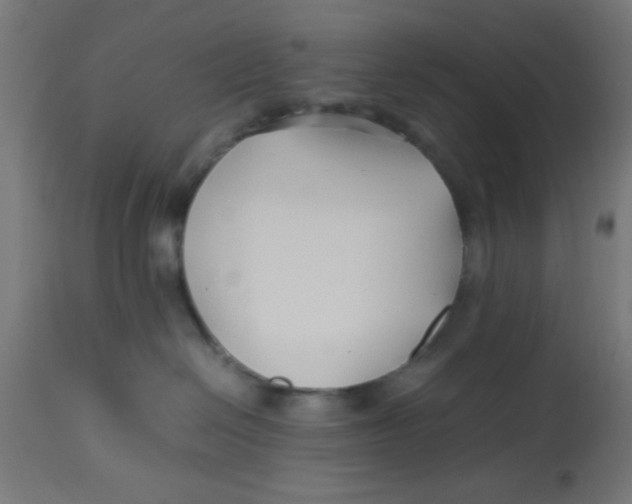 X0000113210286200910081325