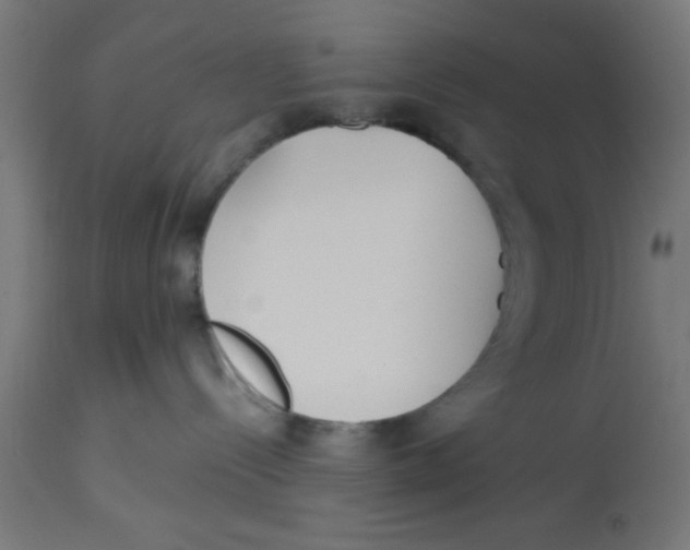 X0000113210288200910081325