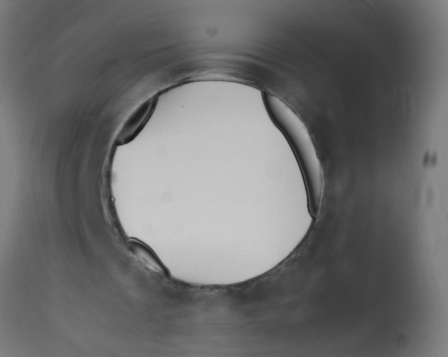 X0000113210289200910081324