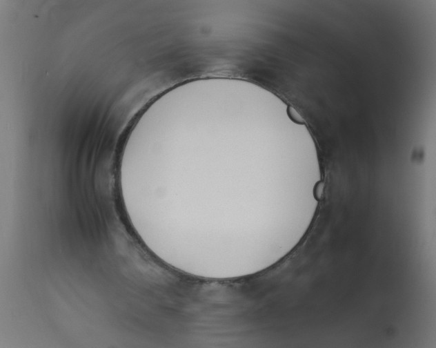 X0000113210290200910081324