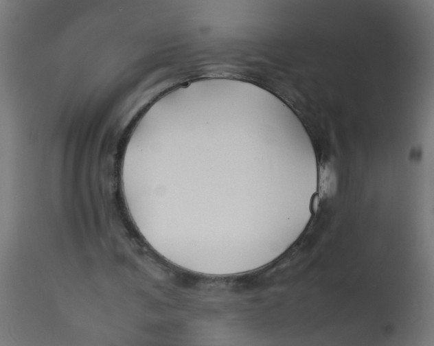 X0000113210291200910081324