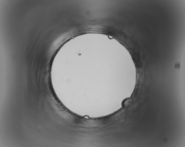 X0000113210293200910081324