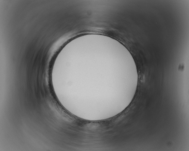 X0000113210294200910081324