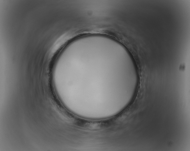 X0000113210295200910081324