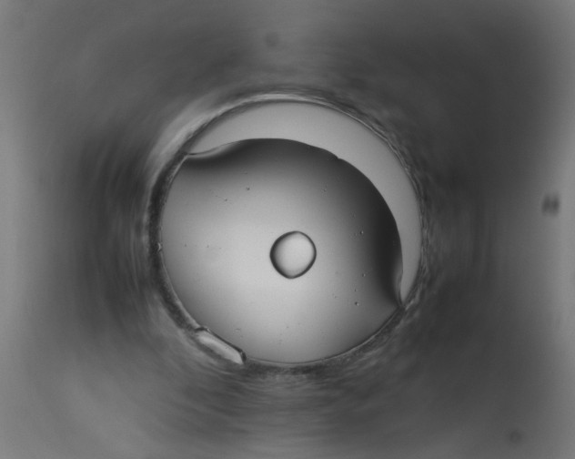 X0000113210296200910081324