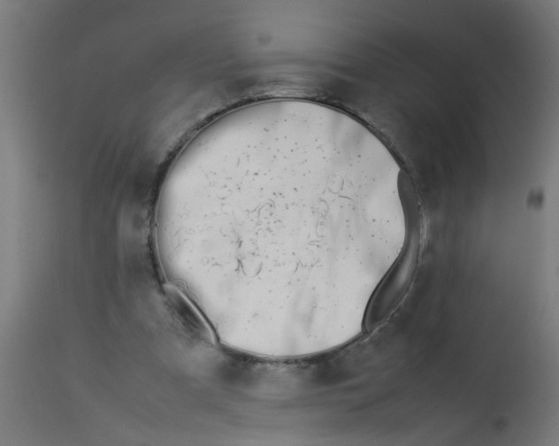 X0000113210297200910081324