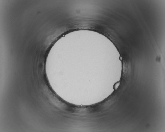 X0000113210301200910081324