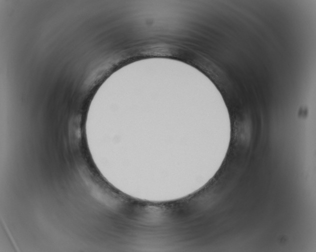 X0000113210302200910081324