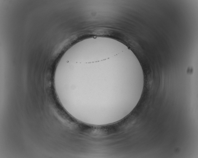 X0000113210303200910081324