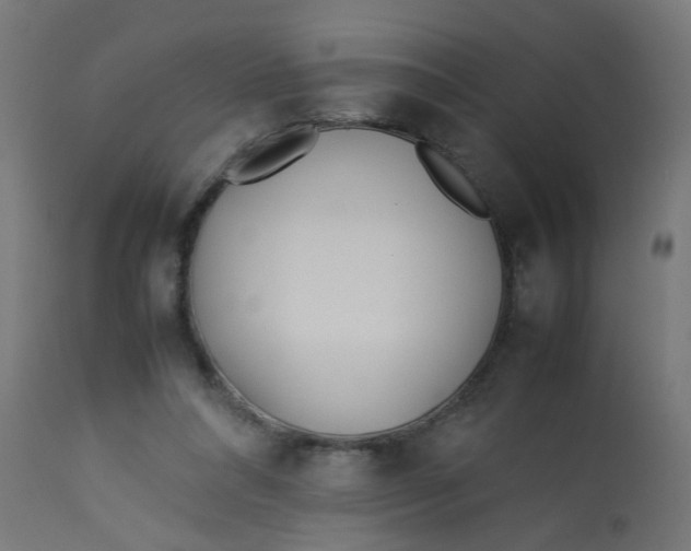 X0000113210304200910081324