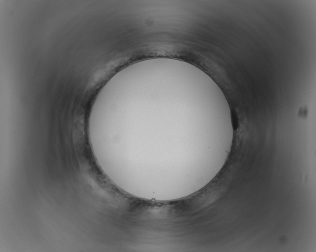 X0000113210306200910081324