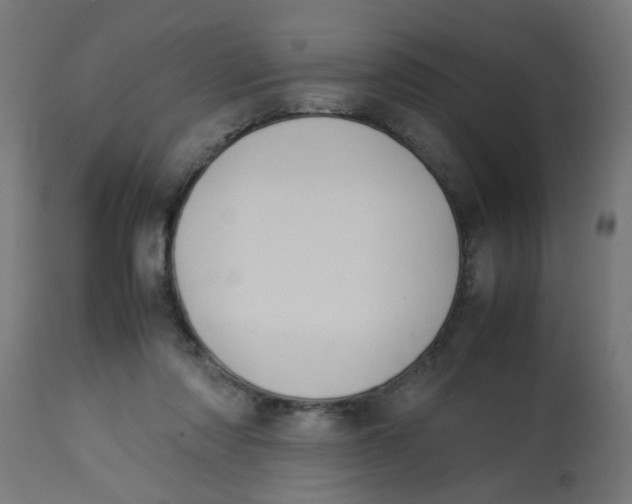 X0000113210310200910081323