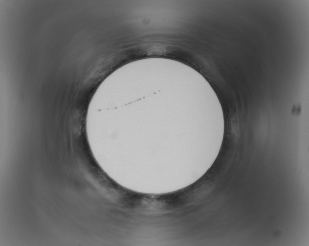 X0000113210311200910081323