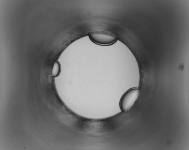 X0000113210313200910081323