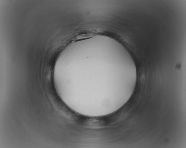 X0000113210315200910081323