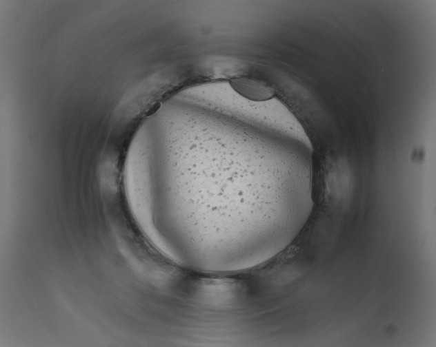 X0000113210316200910081323