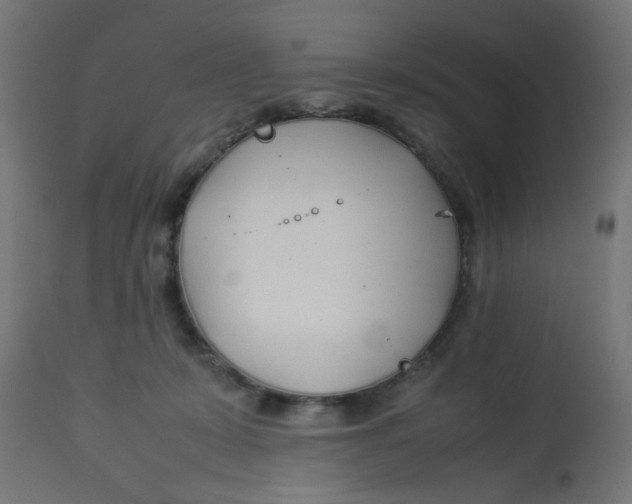 X0000113210319200910081323