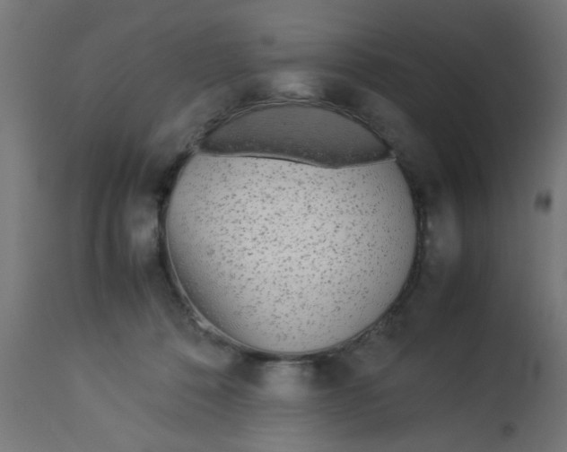 X0000113210320200910081323