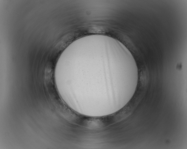 X0000113210322200910081323