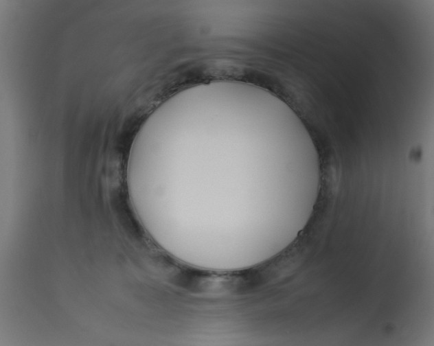 X0000113210323200910081323