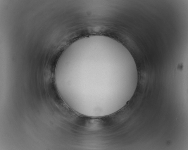 X0000113210324200910081323