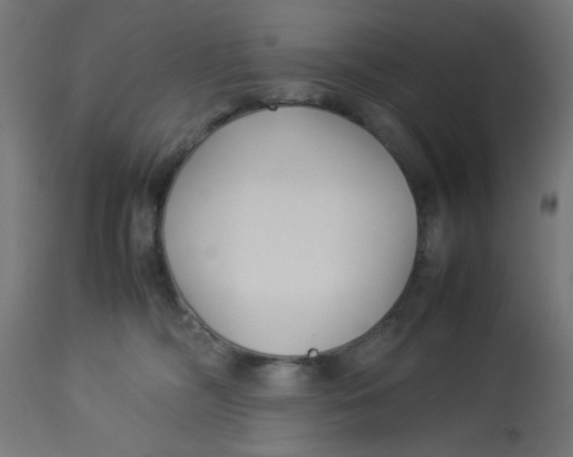 X0000113210326200910081323