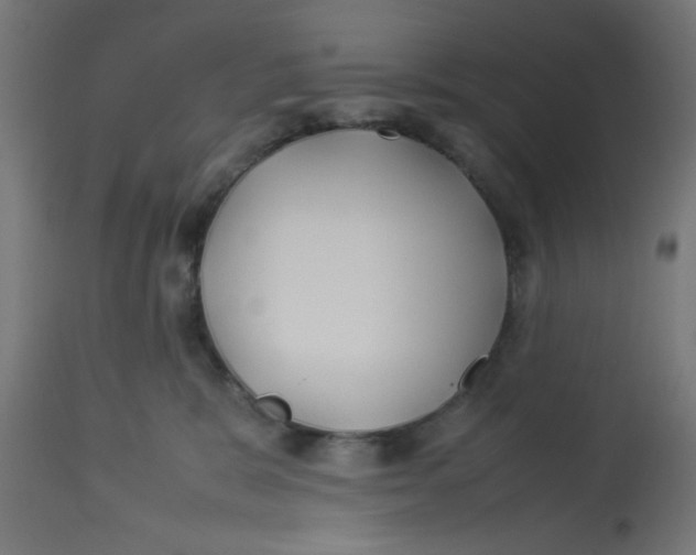 X0000113210327200910081323