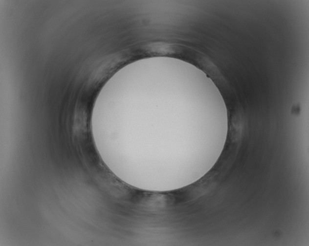 X0000113210330200910081323